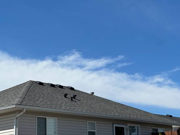 Best Steel Roofing  in Pewee Valley, KY